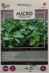 Microgreens Lemon Basil Seeds
